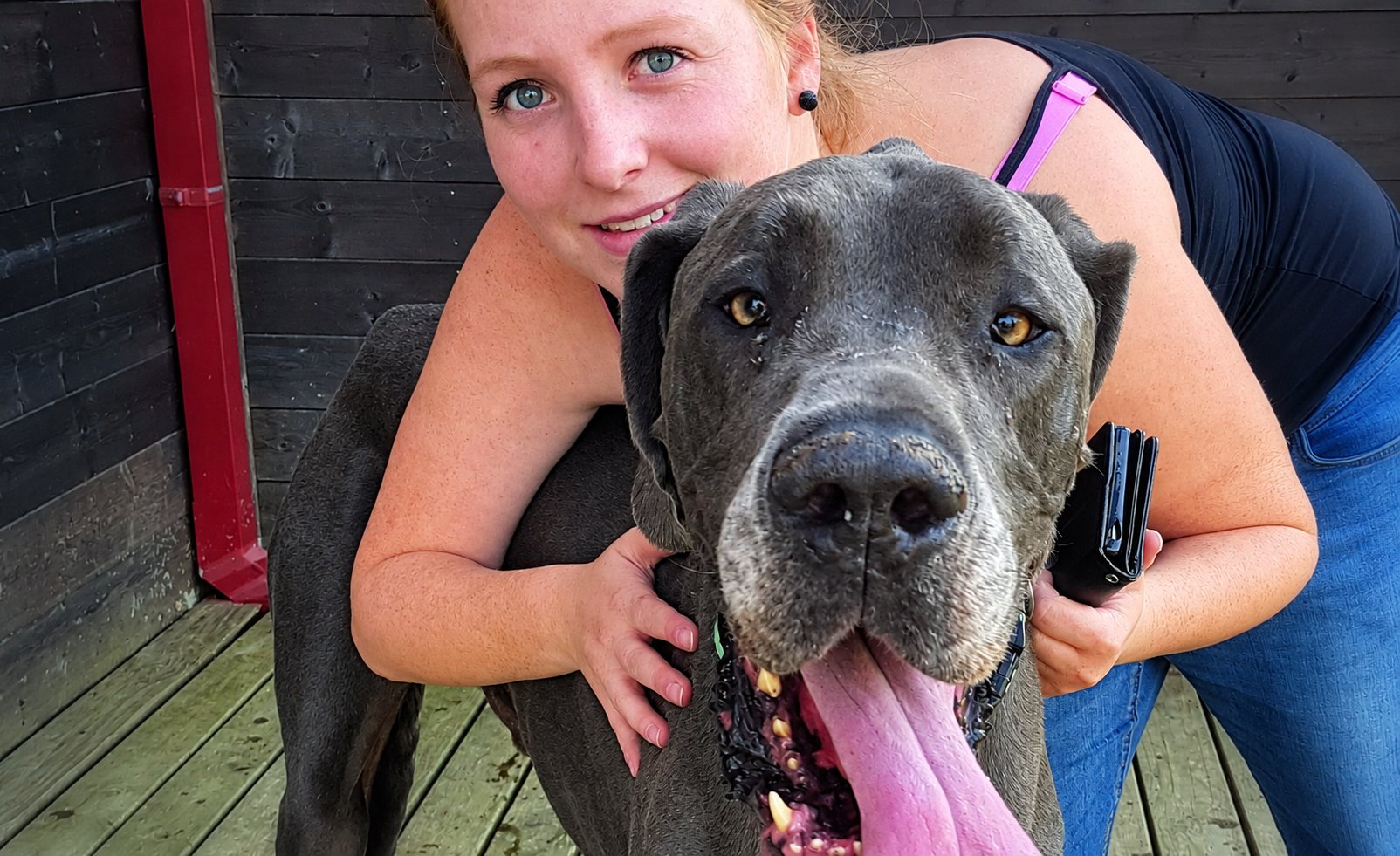 Alice serre dans ses bras un grand dogue gris sur une terrasse en bois